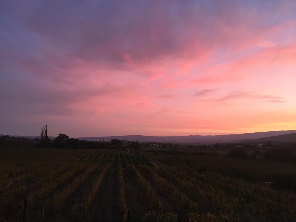 Calitzdorp Country House Екстериор снимка